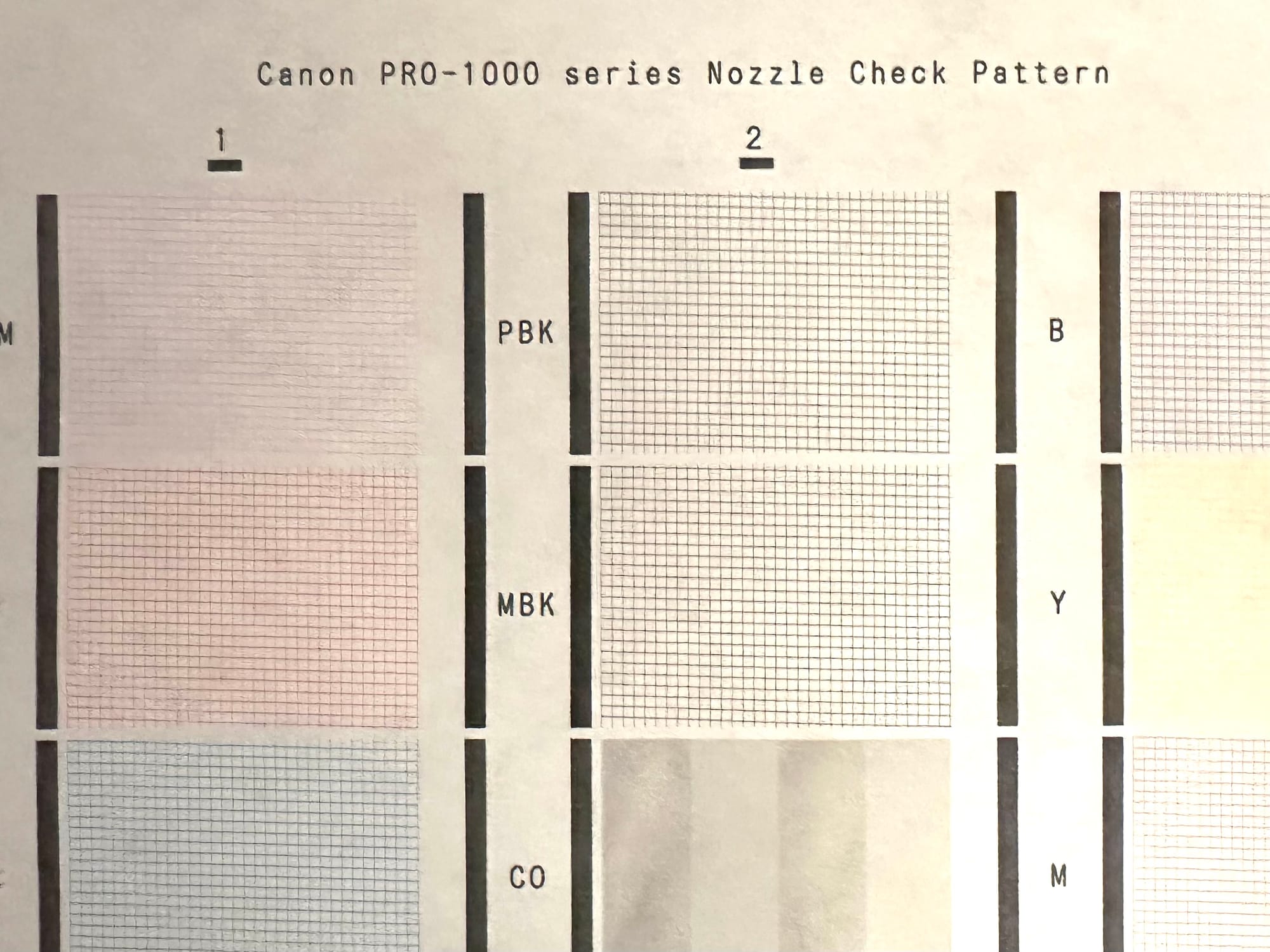 Paper with Canon Pro-1000 series Nozzle Check pattern at the top, below it are a series of grids for judging whether kind of ink nozzle is working properly.